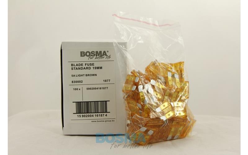 Bosma Flachsicherung 5A