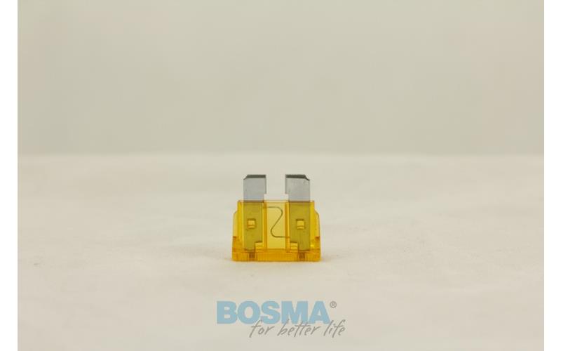 Bosma Flachsicherung 5A