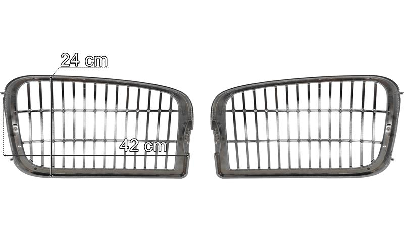 Mercedes Axor MP2 / MP3 Headlamp Protective Mesh Grille