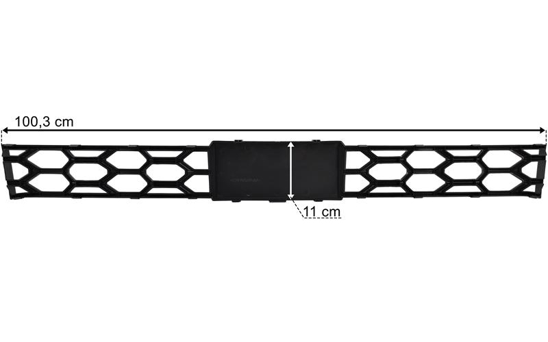 Ford F-Max Mittleres Gitter Des Unteren Kühlergrills