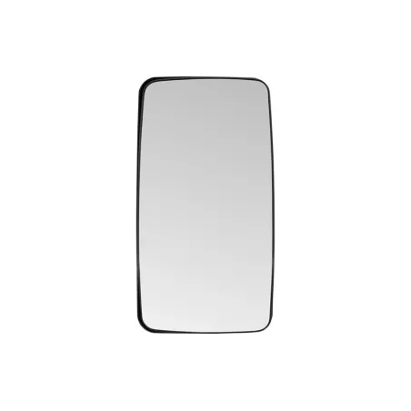 MAN F2000 Spiegel Glas Spiegelglas Links