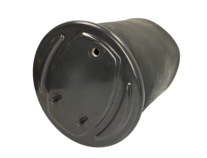 Scania 4, F, G, K, P, R, S, T - Fuelle de Suspensión Neumática Trasera Izq / Dch