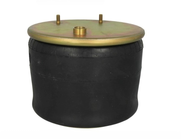 DAF 65 75 85CF, 95XF, LF45, LF55, XF105 - Fuelle de Suspensión Neumática Trasera Izq / Dch