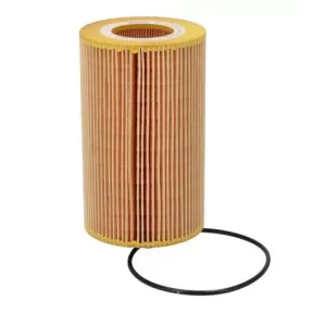 MAN / Renault Filtro de Aceite  D20 Common Rail