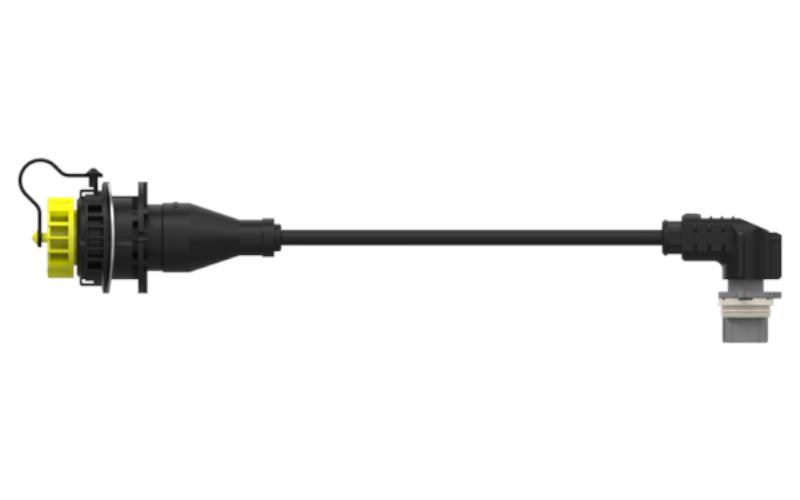 Câble de Diagnostic 3m