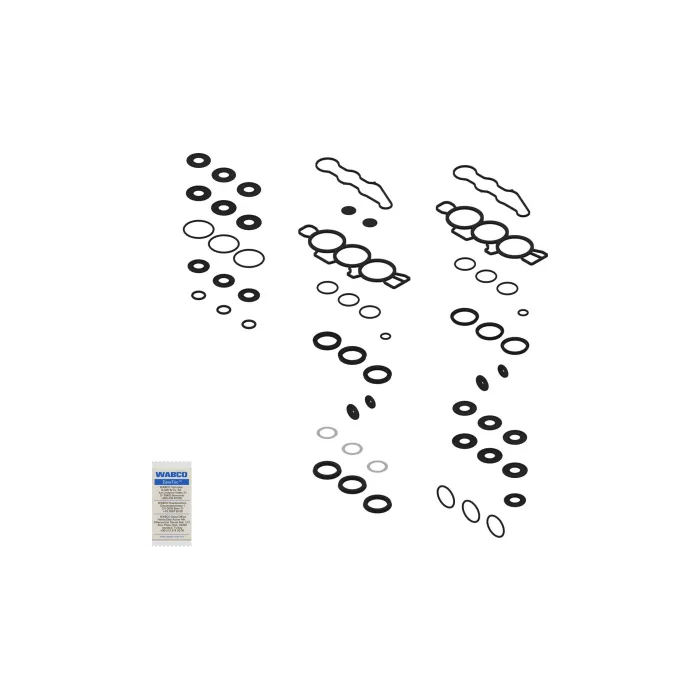 ECAS Repair Kit