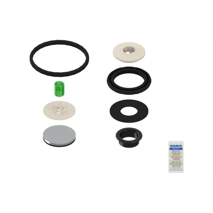Valve Repair Kit