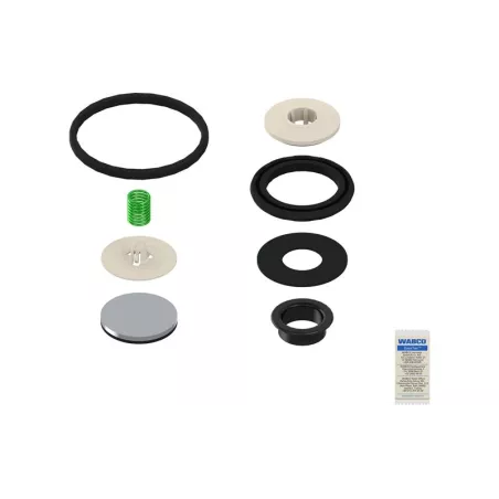 Valve Repair Kit