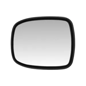 DAF XF105 / CF Panoramic Mirror RH / LH