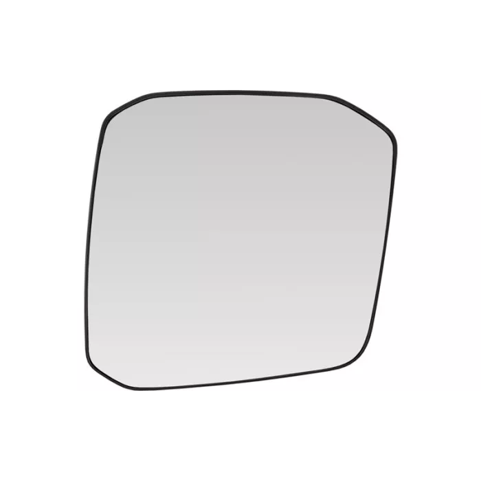 DAF XG+ / XF RH Panoramic Mirror Insert