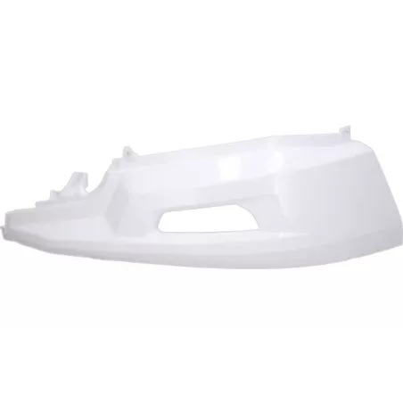 DAF XG / XG+ Paragolpes Izq con Agujero para Piloto Antiniebla