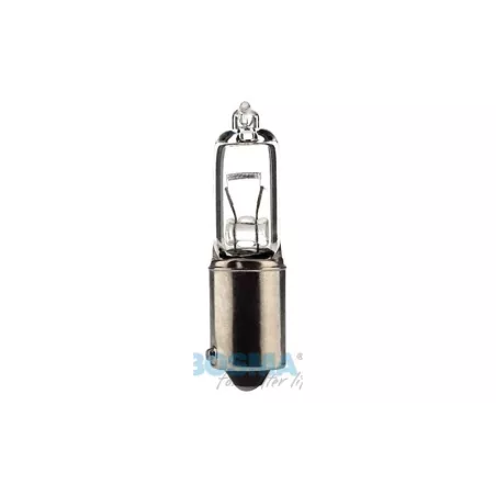 Bosma Bombilla 24V 21W H21W BAY9S Halógena