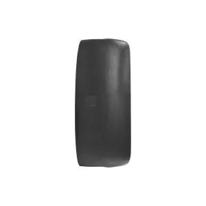 Volvo FH12 (2002-2008) Right / LH Mirror Cover 430x195
