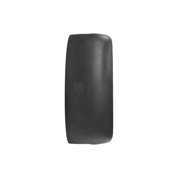 Volvo FH12 (2002-2008) Right / LH Mirror Cover 430x195