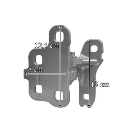 Volvo FH4 / FH5 / FM4 / FM5 Bisagra de Puerta Dch